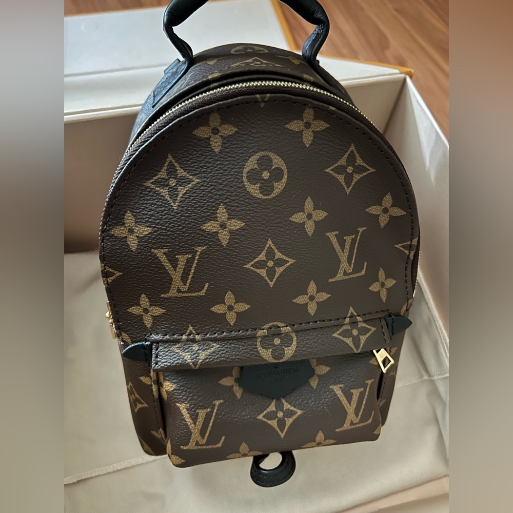 Louis Vuitton Mini Palm Springs